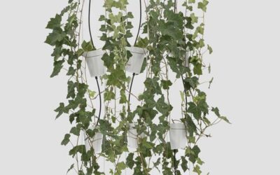 Vasi Per Coltura Idroponica Danese Window garden pendant