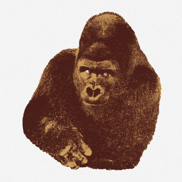 Quindici Il Gorilla Danese stampa serigrafia Enzo Mari